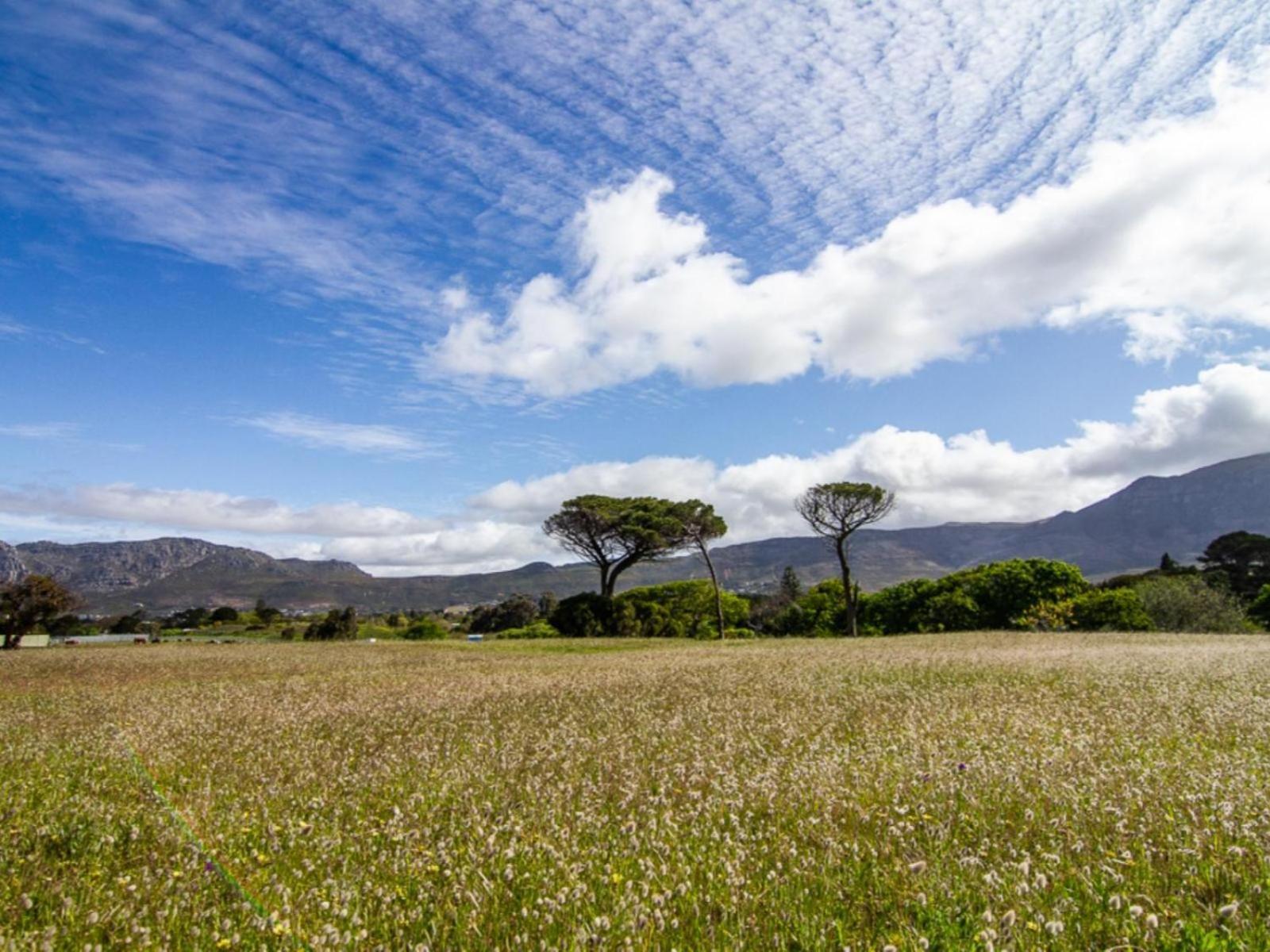 Apartment Silvertree Cape Town
